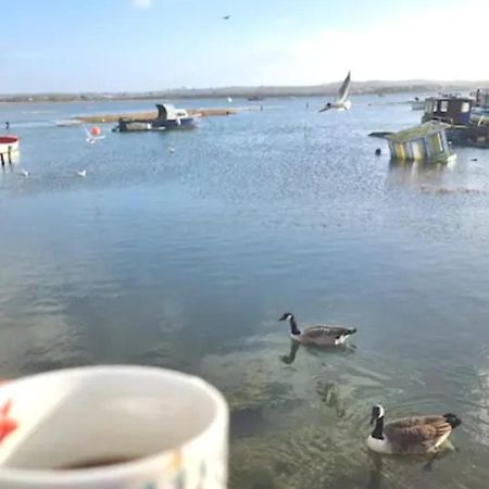 Holes Bay Nature Reserve, Poole, Right Next To The Water Экстерьер фото